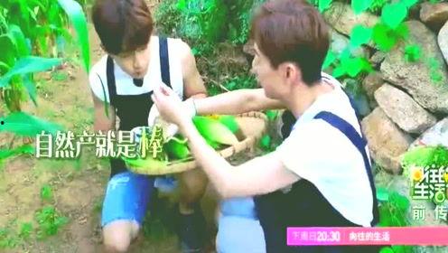 吃瓜星娱乐趣人趣事儿